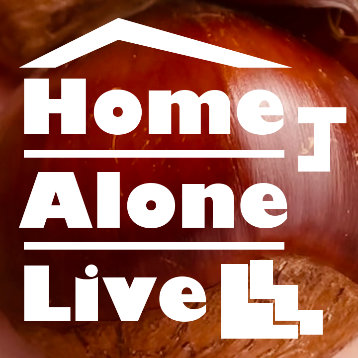 Home Alone Live vol.23